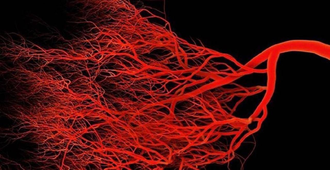 photo_2025-11-06_11-30-27