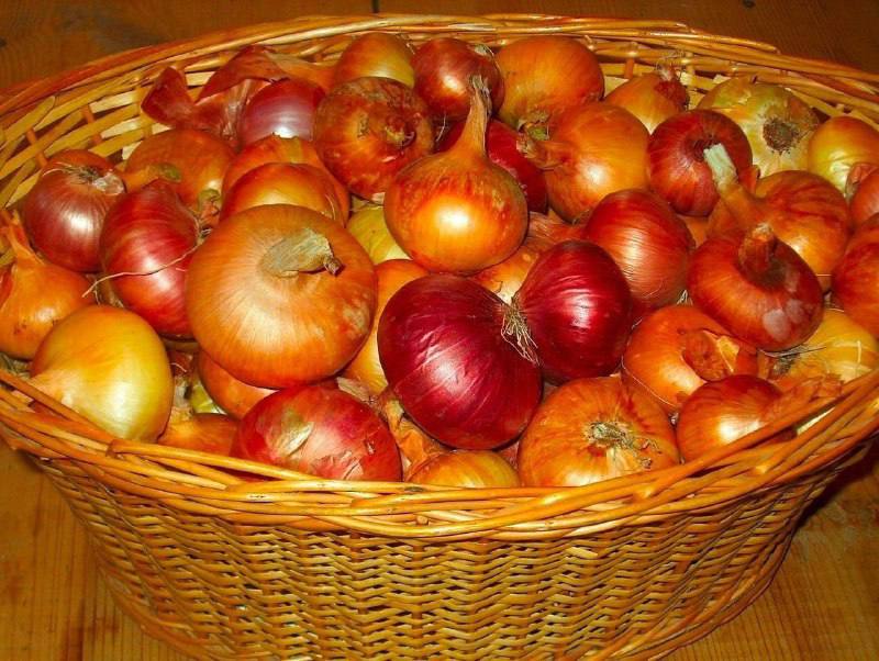 photo_2025-11-06_11-31-24